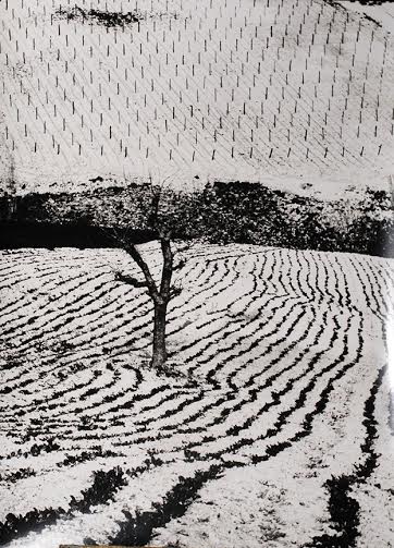 Mario Giacomelli / Mario Vespasiani – La quarta dimensione